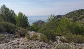 Trail Walking Marseille - Marseille calanques devenson en-vau 17kms 840m  - Photo 1