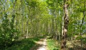 Tour Wandern Court-Saint-Étienne - Bois³ de l'Abbaye - Photo 7