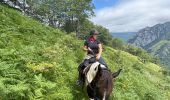 Trail Horseback riding Accous - Accous-Lescun-Lhers - Photo 13