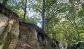 Trail Walking Saint-Hubert - St Hubert -arbre de l’année 2022 - Photo 4