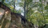 Tour Wandern Sankt Hubert - St Hubert -arbre de l’année 2022 - Photo 4