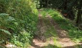 Trail Walking Metzeral - lac de schiessrothried par vallée de la wormsa  - Photo 9
