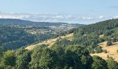 Trail Walking Saint-Bonnet-le-Courreau - Vallée de Chorsin  - Photo 1