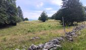 Trail Walking Lajoux - Le crêt de la vigoureuse (le vrai) - Photo 6