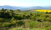 Trail Walking Cournon-d'Auvergne - Cournon_Allier_Puy_Bane - Photo 1