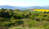 Tocht Stappen Cournon-d'Auvergne - Cournon_Allier_Puy_Bane - Photo 1