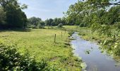 Tocht Stappen Le Vast - Le long de la vallée de la Sairre - Photo 4