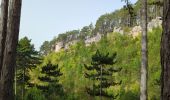 Tocht Stappen Chadenet - La Loubière - Lanuéjols  - Photo 5