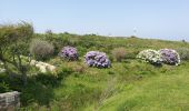 Randonnée Marche Ouessant - Lampaul - tour nord d'Ouessant - Photo 1