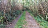 Tour Wandern Argelès-sur-Mer - en attendant mes pneus  - Photo 16