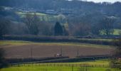 Percorso A piedi Somerset West and Taunton - Herepath Trail - Blagdon Hill - Photo 10