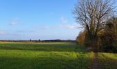 Tour Wandern Anthisnes - Marche ADEPS Villers aux Tours - Photo 11