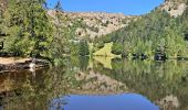 Trail Walking Soultzeren - Lac Vert, lac du Forlet - Photo 3