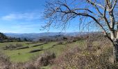 Tour Wandern Saint-Étienne-de-Boulogne - Saint Étienne  - Photo 2