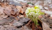 Trail Walking Le Gua - Un tour de L'Eperrimont par le sommet ! - Photo 3