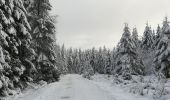 Tour Wandern Saint-Hubert - Saint Hubert sous la neige  - Photo 2