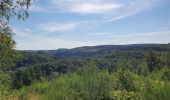 Tocht Stappen La Roche-en-Ardenne - rando warempage 13/07/2020 - Photo 13