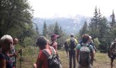 Randonnée Marche nordique Corrençon-en-Vercors - la glacière - Photo 3