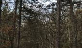 Percorso Marcia Manosque - Forêts de Pelissier - Photo 1