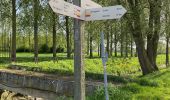 Trail Walking Tienen - S-GR Hageland : Tienen - Terhagen - Photo 5
