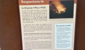 Trail  Obernai - MUR PAÏEN MONT STE ODILE  - Photo 19