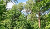 Randonnée Marche Esneux - parc du Mary. targnon . parc du Mary - Photo 18