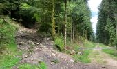 Tocht  Gérardmer - Bourrique, tour et cascade de Merelle - Photo 7