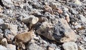 Tour Wandern Névache - col de casse blanche - Photo 2