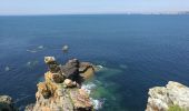 Randonnée Marche Crozon - Plage de Goulien - Château de Dinan - Photo 9