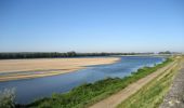 Excursión A pie Gennes-Val-de-Loire - De Loire et Forêt - Photo 4