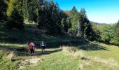 Trail Walking Montcel - MASSIF DES BAUGES: PLATEAU DU REVARD AUTOUR DE LA CROIX DES BERGERS (bis) - Photo 5