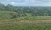 Trail Walking Sainte-Anne - La boucle  - Photo 3
