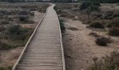 Excursión Senderismo Frontignan - les anciens salins de frontignan - Photo 4