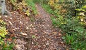 Tocht Stappen Waldkirch - Waldkirch - grande boucle des ruines du Schwanzenberg - Photo 6