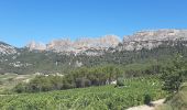 Tour Wandern La Roque-Alric - Dentelles de Mont Miraille - Photo 7