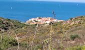 Tocht Stappen Collioure - St Elme consolation_T - Photo 1