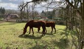 Excursión Senderismo Magny-les-Hameaux - Balade du 14 mars 2021 - Photo 2