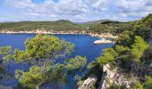 Trail Walking Bandol - Petit tour depuis Bandol  vers port d'Alon - Photo 1