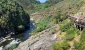 Tocht Stappen Canelas e Espiunca - Passadicos do Paiva walkways  - Photo 4