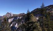 Excursión Senderismo Saint-Pierre-de-Chartreuse - tour de la Dent de crolles par des sangles  - Photo 10