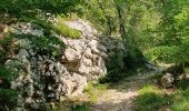 Trail Walking Albese con Cassano - Monte bolettone - Photo 13