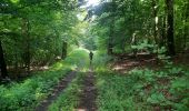 Trail Walking Habay - marche adeps ruelles  - Photo 4