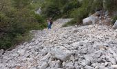 Tocht Stappen Ollioules - 2021 10 20 les gorges de la Destel - Photo 1