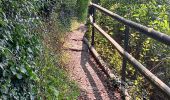 Tocht Stappen Luik - St Lambert et la Liège Verte - Photo 13