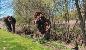 Trail Walking Tongeren - reser e de kevie - Photo 16