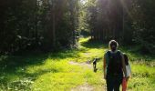 Randonnée Marche Autrans-Méaudre en Vercors - Le Gros Martel par le trou de L'enfer - Photo 16