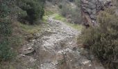 Trail Walking Cerbère - les aloès. cerbère . coll dells belitres (espagne) . cap cerbère . cerbère. les aloès   - Photo 14