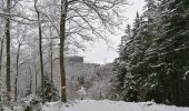 Trail Walking Fauvillers - Sur les traces des chevaliers maudits de Bodange  - Photo 7