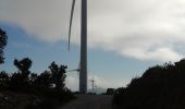 Tocht Stappen Motril - Éoliennes  - Photo 1