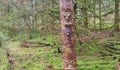 Tour Wandern Cornimont - cournimont - Photo 1